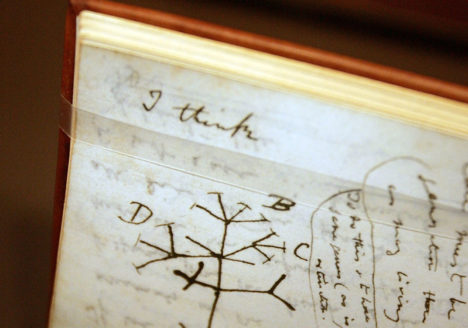 Darwin Exhibit Opens In New York City